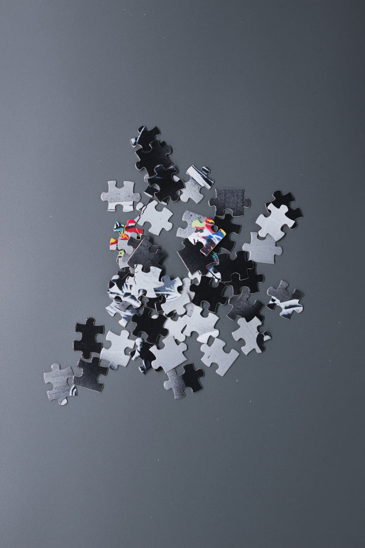 Heading Home Puzzle – official Alan Walker Puzzle (view 2)