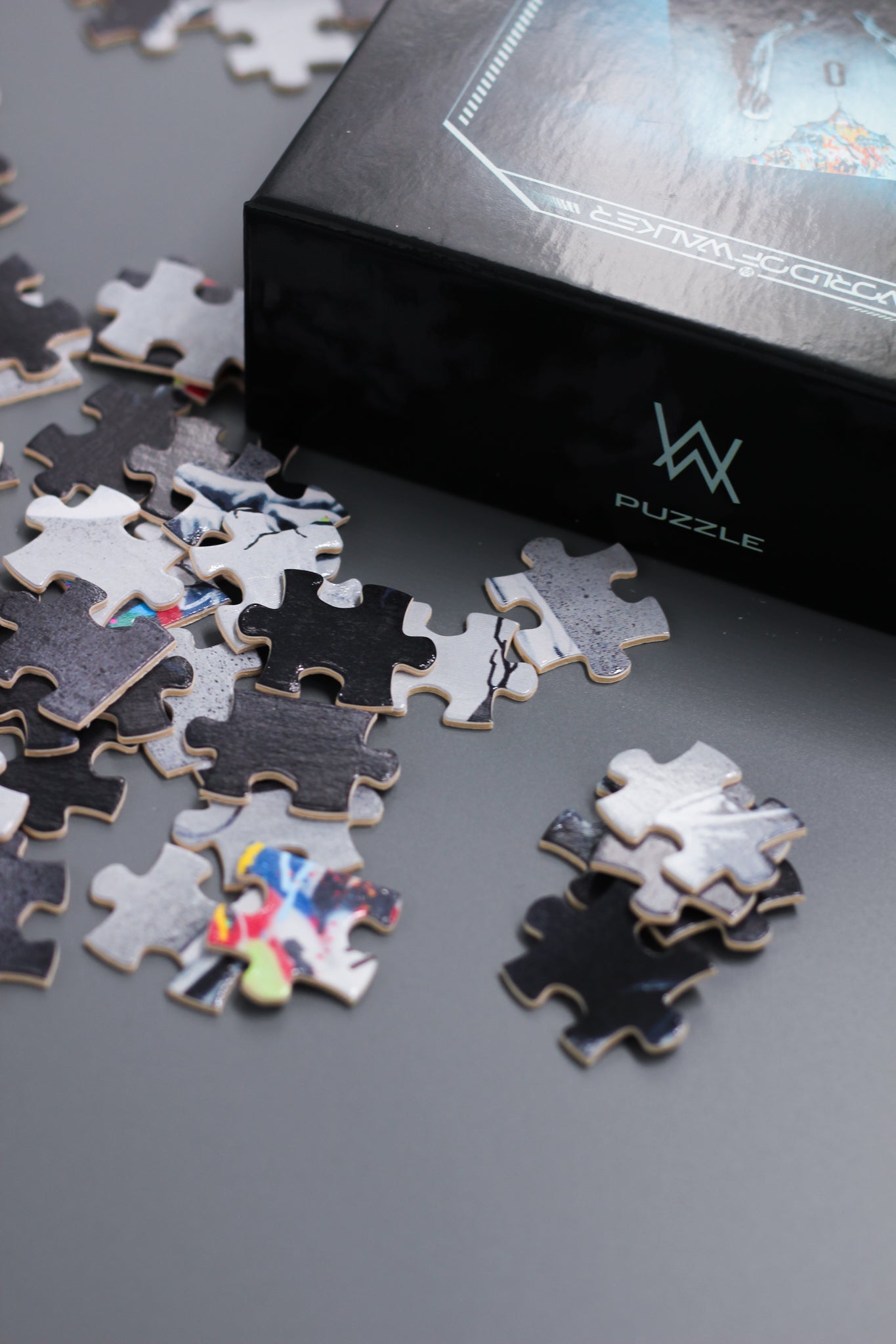 Heading Home Puzzle – official Alan Walker Puzzle (view 3)