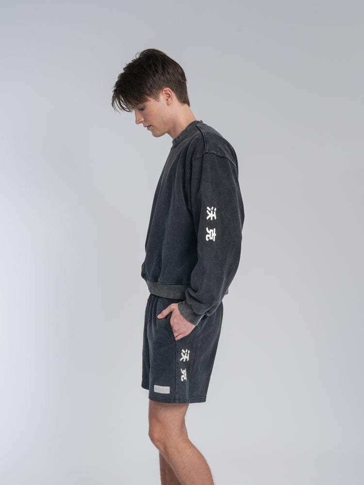 Crew Washed Alan Shorts – official Alan Walker shorts (view 3)