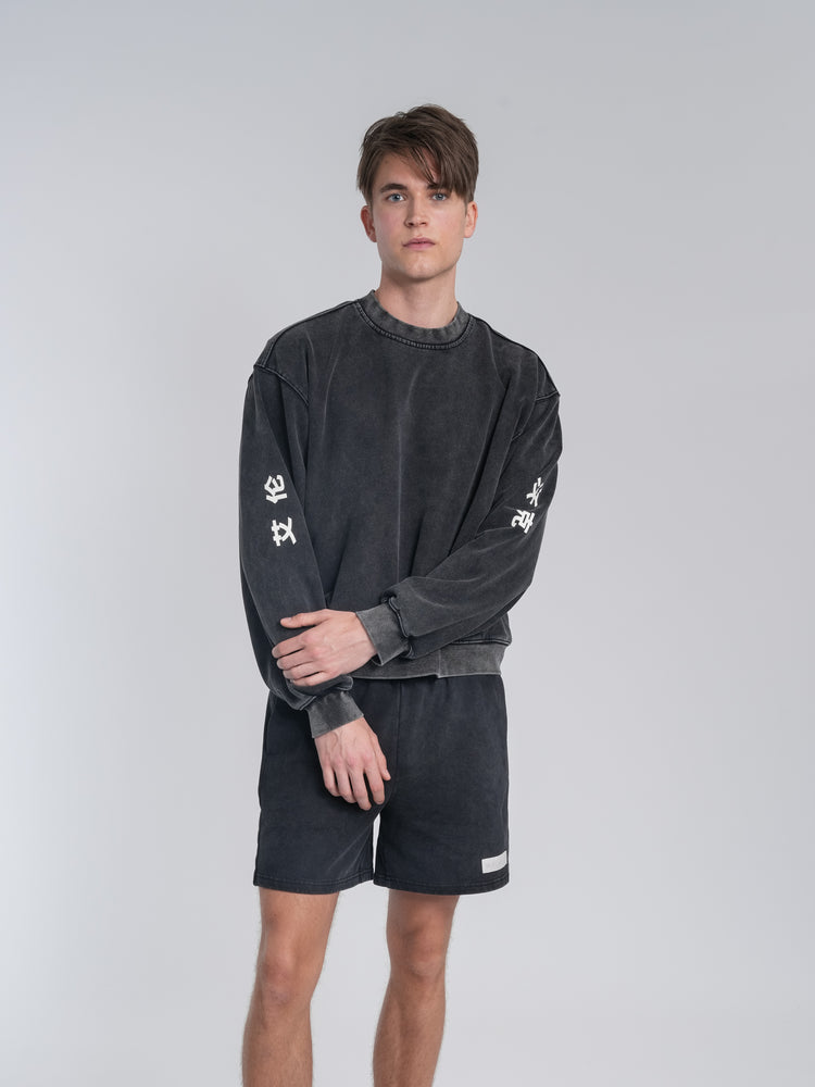Crew Washed Alan Shorts – official Alan Walker shorts (view 2)